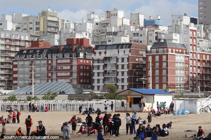 Edificios de departamentos detrs de la playa en Mar del Plata. (720x480px). Argentina, Sudamerica.