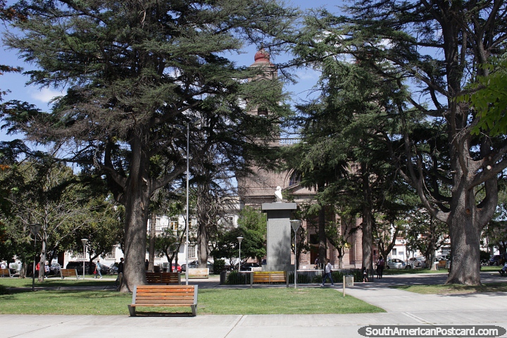 Plaza Alsina in Viedma with the cathedral hidden behind trees. (720x480px). Argentina, South America.