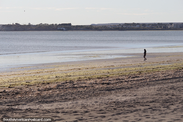 Tranquilo paseo por la maana sobre las arenas de la playa en Puerto Madryn. (720x480px). Argentina, Sudamerica.