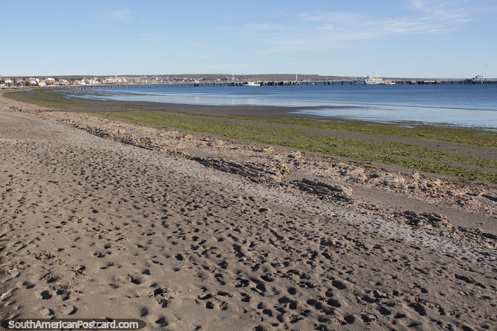 Big view down the beach in Puerto Madryn towards the dock. (720x480px). Argentina, South America.