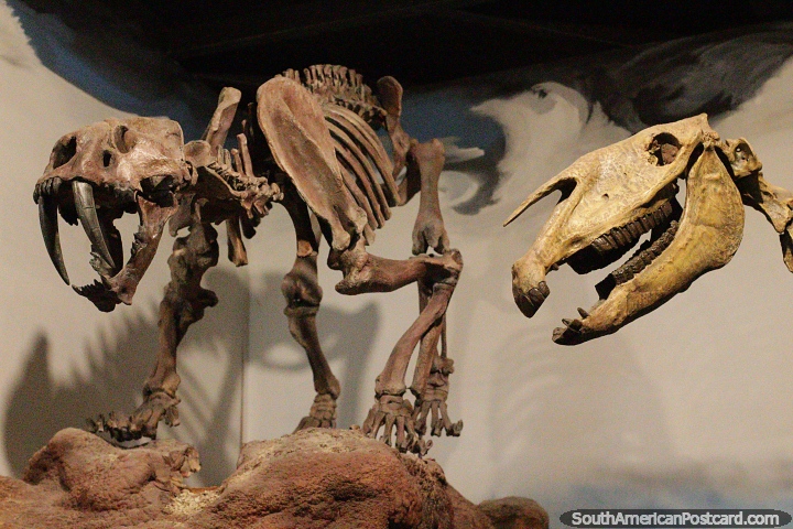 A pair of prehistoric creatures, one looks vicious, science museum, Trelew. (720x480px). Argentina, South America.