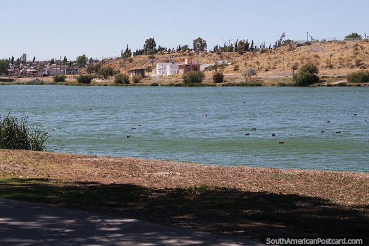 Chiquichano Lagoon in the central city in Trelew. (720x480px). Argentina, South America.