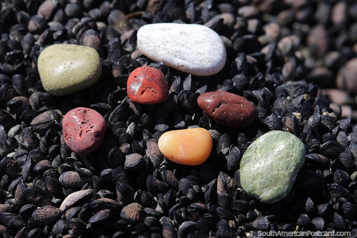Colete rochas lisas e coloridas na praia de Caleta Olivia. (720x480px). Argentina, Amrica do Sul.