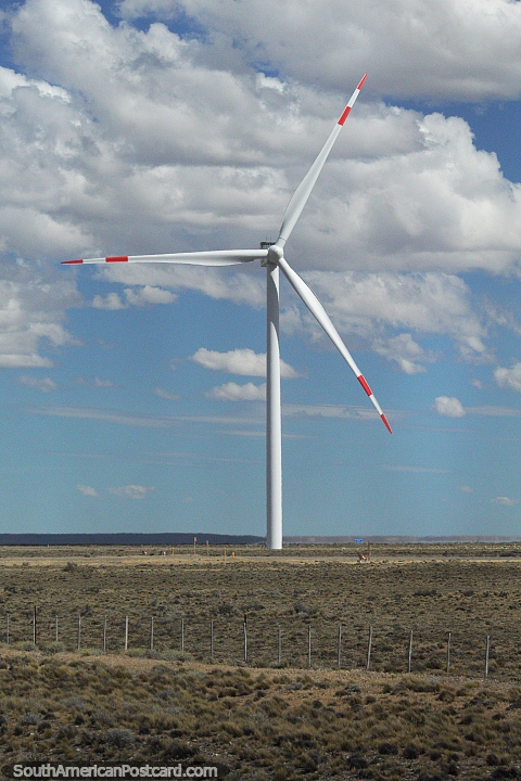Gerao de eletricidade a partir do vento ao redor de Jaramillo na Patagnia. (480x720px). Argentina, Amrica do Sul.