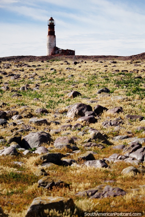 Rocks embedded in the grassy banks of Penguin Island leading up to the lighthouse, Puerto Deseado. (480x720px). Argentina, South America.