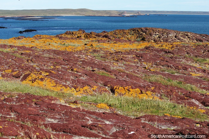 Terreno rochoso vermelho e amarelo e mares azuis profundos na Ilha do Pinguim, Puerto Deseado. (720x480px). Argentina, Amrica do Sul.