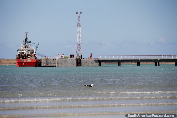 The big red boat is from Mar del Plata in the north, port in Puerto San Julian. (720x480px). Argentina, South America.