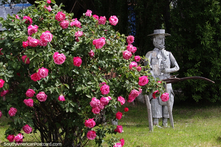 Man made of tin and a pink rose bush at the Pavon Island administration center in Piedrabuena. (720x480px). Argentina, South America.