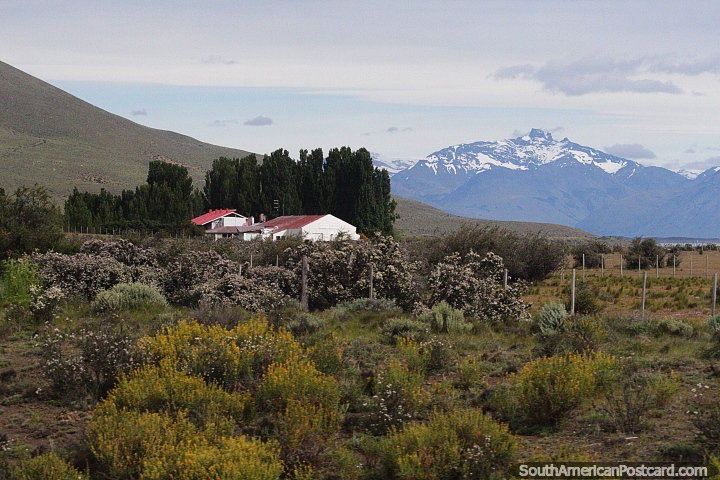 Hermosos paisajes, campo y montaas alrededor de El Calafate. (720x480px). Argentina, Sudamerica.