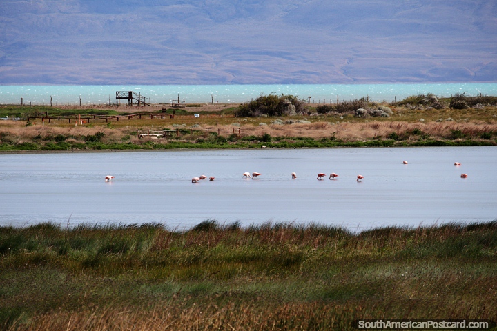 Nimez Lagoon with Lake Argentino in the distance in El Calafate. (720x480px). Argentina, South America.