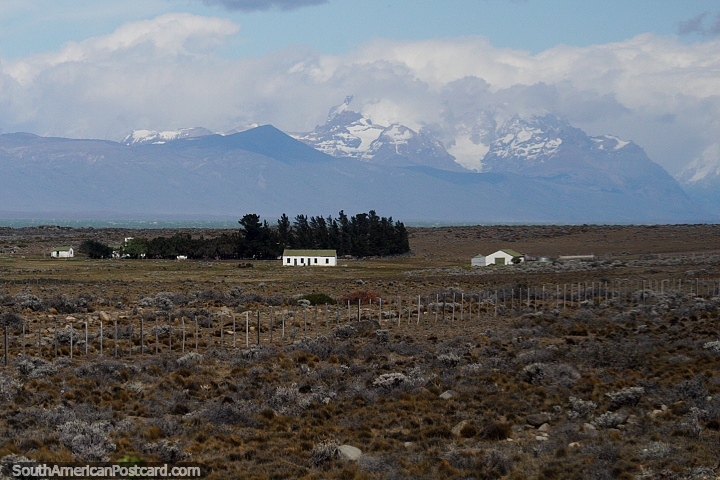 The Patagonia around La Leona between Calafate and Chalten. (720x480px). Argentina, South America.