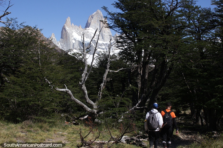 El pico Fitz Roy se eleva sobre el sendero del mismo nombre en El Chaltn. (720x480px). Argentina, Sudamerica.