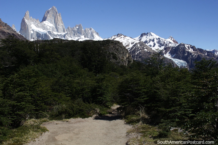 Continue on the Fitz Roy track from the first lagoon, 4km mark, El Chalten. (720x480px). Argentina, South America.