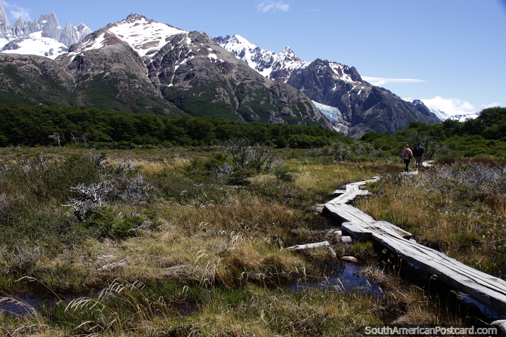 Passarela de madeira sobre terreno pantanoso no Parque Nacional Los Glaciares em El Chalten. (720x480px). Argentina, Amrica do Sul.