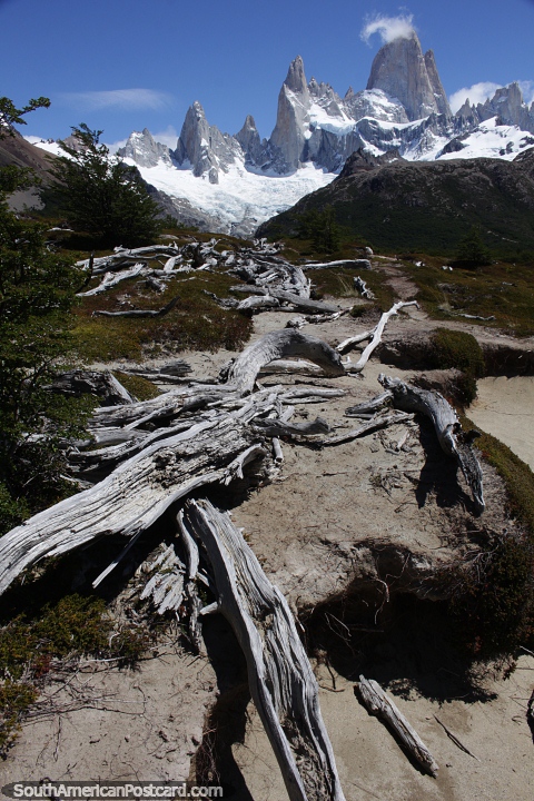 Dynamic landscape and scenery at Los Glaciares National Park in El Chalten. (480x720px). Argentina, South America.