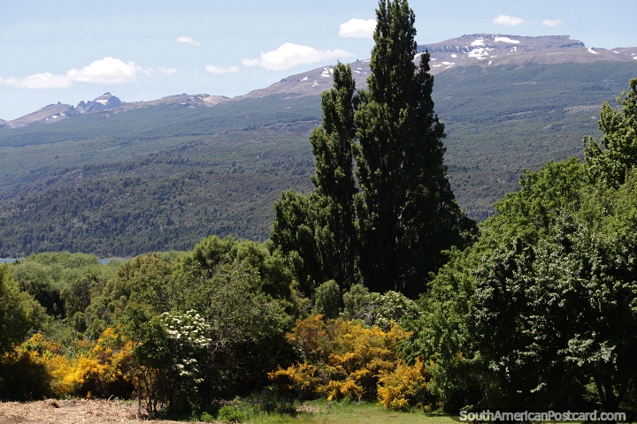 Parque Nacional dos Alerces em Esquel, uma zona muito verde com trilhos naturais para desfrutar. (720x480px). Argentina, Amrica do Sul.