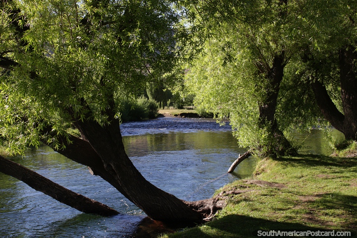 Green banks of the Chimehuin River with trees and shade in Junin de los Andes. (720x480px). Argentina, South America.