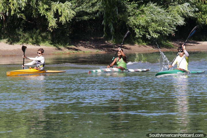 Racing kayaks on the Limay River, a very popular sport in Neuquen. (720x480px). Argentina, South America.