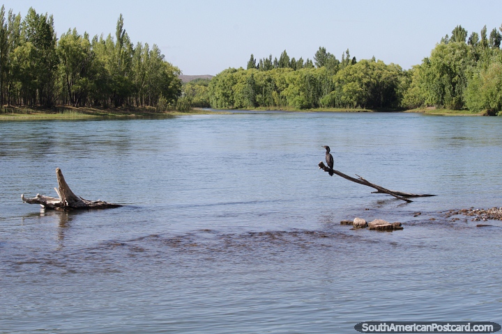 Riverfront in Neuquen, nice place to take a stroll, swim, kayak and see birds. (720x480px). Argentina, South America.