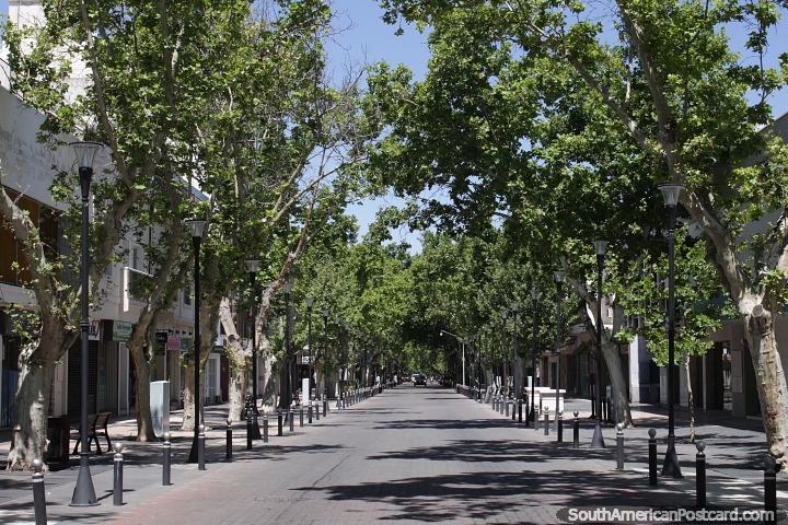 Long street lined with trees and ample pavement to walk in San Rafael. (720x480px). Argentina, South America.
