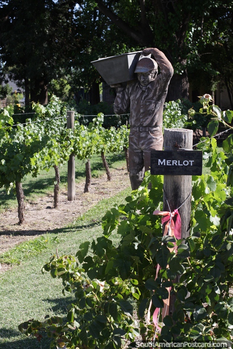 As videiras crescem para o vinho Merlot e um homem de bronze carregando uvas na Vincola Labiano, San Rafael. (480x720px). Argentina, Amrica do Sul.