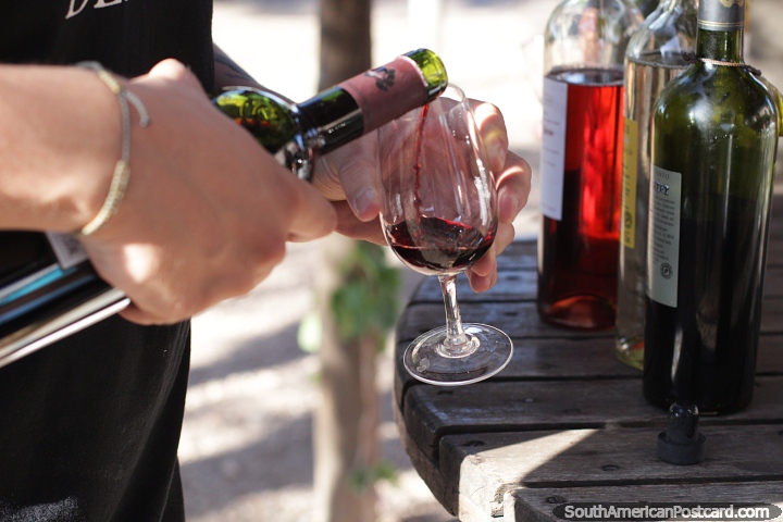 Pruebe una variedad de vinos durante un recorrido por la bodega Labiano en San Rafael. (720x480px). Argentina, Sudamerica.