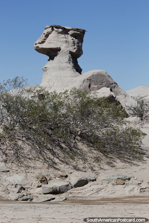 Rock form like a neck and head at Ischigualasto. (480x720px). Argentina, South America.