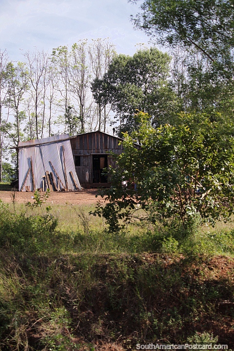 House in the thick of the forestland in Misiones province, south of Pozo Azul. (480x720px). Argentina, South America.