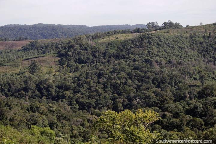 Thick forests and rolling hills of the Cruce Caballero National Park in Misiones province. (720x480px). Argentina, South America.