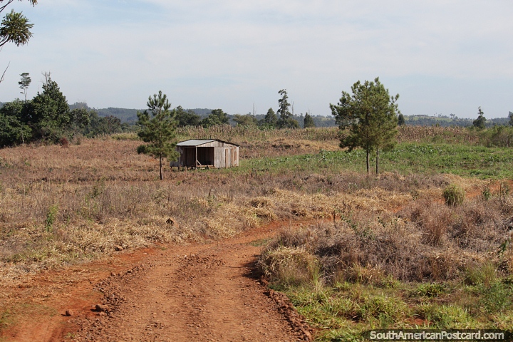 Espao vazio e um campo de milho distante nas colinas ao sul de Pozo Azul, Misiones. (720x480px). Argentina, Amrica do Sul.