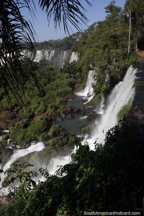 Cachoeiras poderosas que fluem das florestas do Rio Iguau em Puerto Iguazu. (480x720px). Argentina, Amrica do Sul.