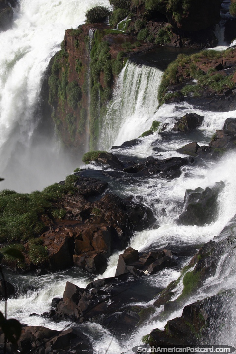 A la gente le encanta ver grandes masas de agua y Puerto Iguaz no es una excepcin! (480x720px). Argentina, Sudamerica.