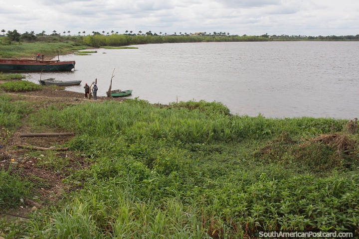 Grassy riverfront banks of the Paraguay River in Formosa. (720x480px). Argentina, South America.
