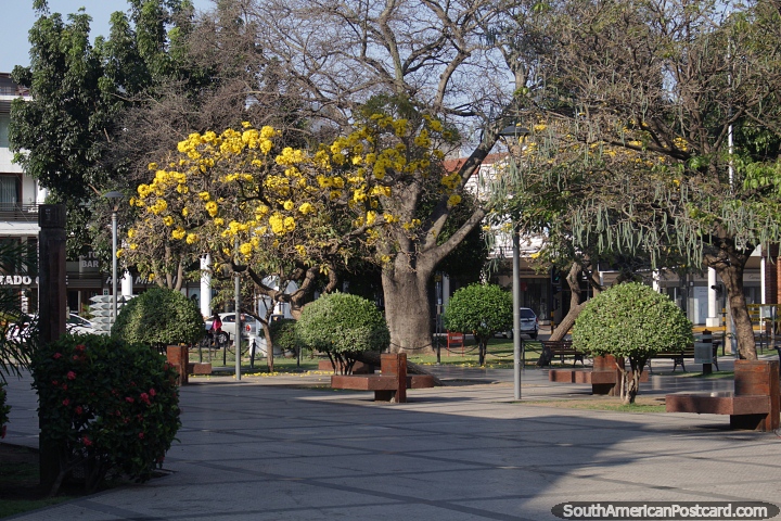 The nice plaza beside and behind the cathedral in central Santa Cruz. (720x480px). Bolivia, South America.