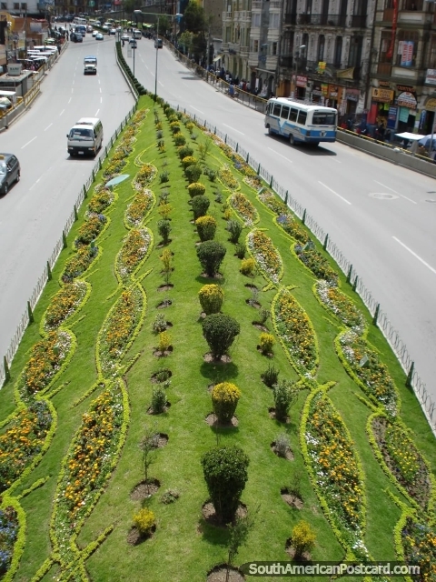 The traffic island of small trees and flowers in La Paz. (480x640px). Bolivia, South America.