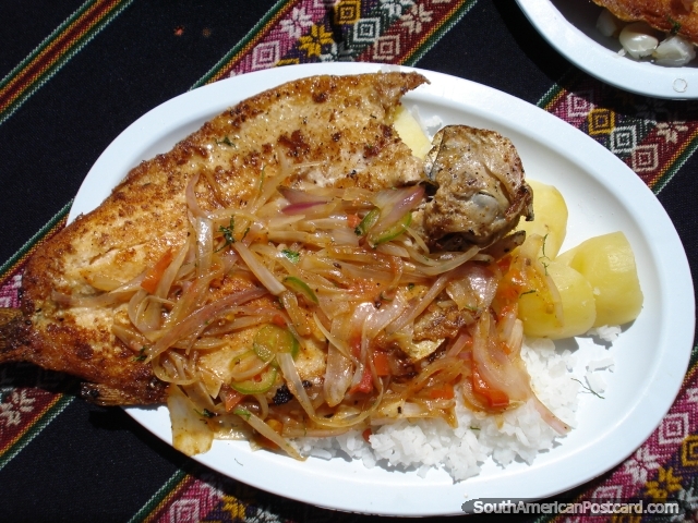 Truta fresca para almoço na Titicaca Lago de 20 Bolivianos! (640x480px). Bolívia, América do Sul.