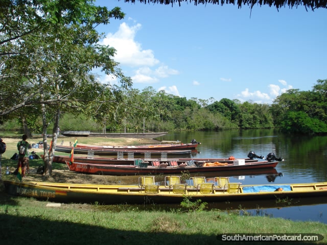 Embarcaciones fluviales listas para tomar grupos a través de la Pampa en Rurrenabaque. (640x480px). Bolivia, Sudamerica.
