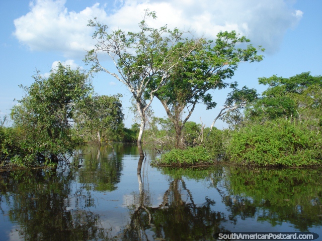Such a peaceful place to be, the Rurrenabaque wetlands. (640x480px). Bolivia, South America.