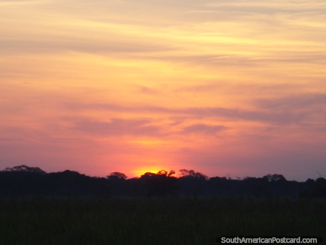 Orange, yellow sunset over the pampas wetlands in Rurrenabaque. (640x480px). Bolivia, South America.