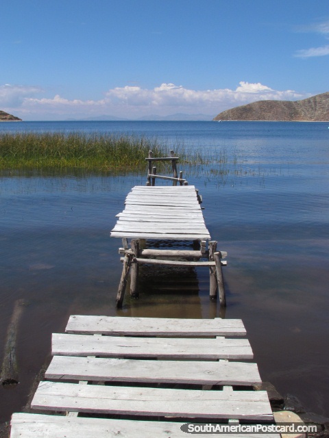 Broken jetty and lake reeds at Isla del Sol, Lake Titicaca. (480x640px). Bolivia, South America.