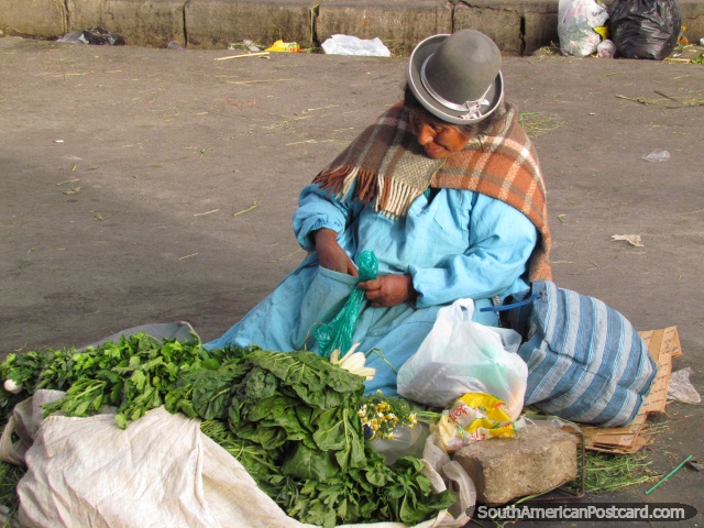 Woman sells spinach in La Paz markets and chews coca. (640x480px). Bolivia, South America.