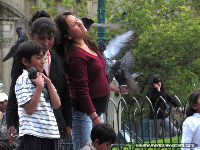 Pessoas que jogam com pombos no parque em La Paz. (640x480px). Bolvia, Amrica do Sul.