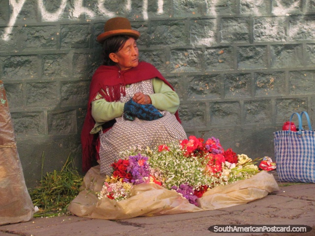 La mujer vende flores en el mercado de La Paz. (640x480px). Bolivia, Sudamerica.