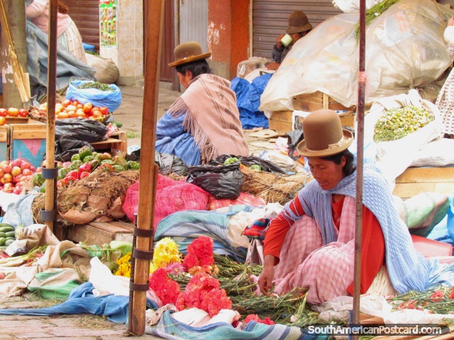La mujer vende flores frescas en el mercado de La Paz Rodriguez. (640x480px). Bolivia, Sudamerica.