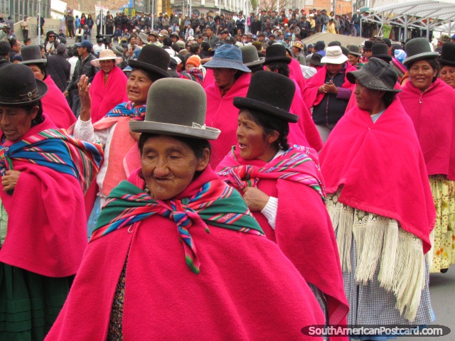 Mujer indgena en mantones rosados en marchas de La Paz. (640x480px). Bolivia, Sudamerica.