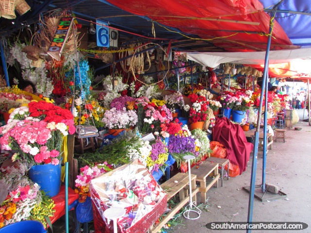 Belas flores a venda em mercados de Oruro. (640x480px). Bolvia, Amrica do Sul.