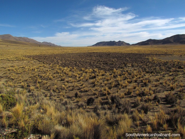 Terreno aberto vasto de Oruro a Uyuni por trem. (640x480px). Bolívia, América do Sul.