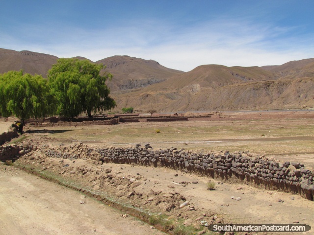 Parede de pedra, rvores e montanhas entre Pulacayo e Tica Tica. (640x480px). Bolvia, Amrica do Sul.