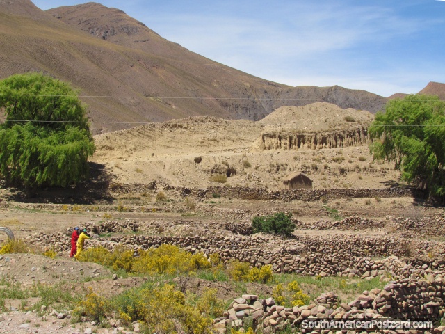 Paredes de piedra y terreno rocoso entre Tica Tica y Potosi. (640x480px). Bolivia, Sudamerica.