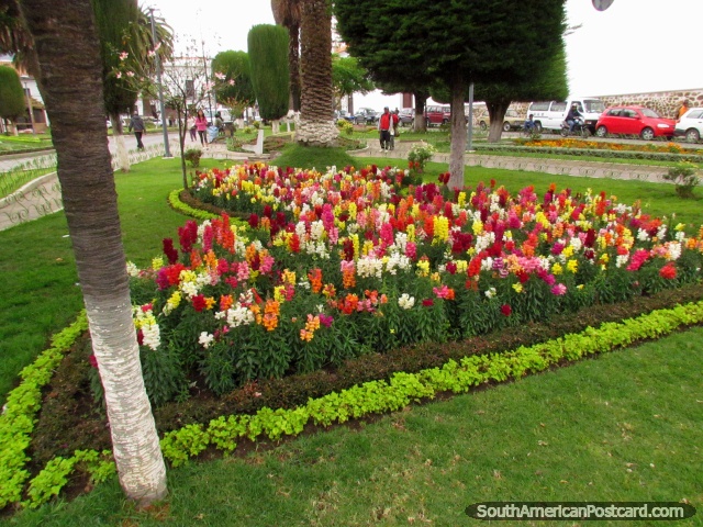 Plaza Libertad with park and flower gardens in Sucre. (640x480px). Bolivia, South America.